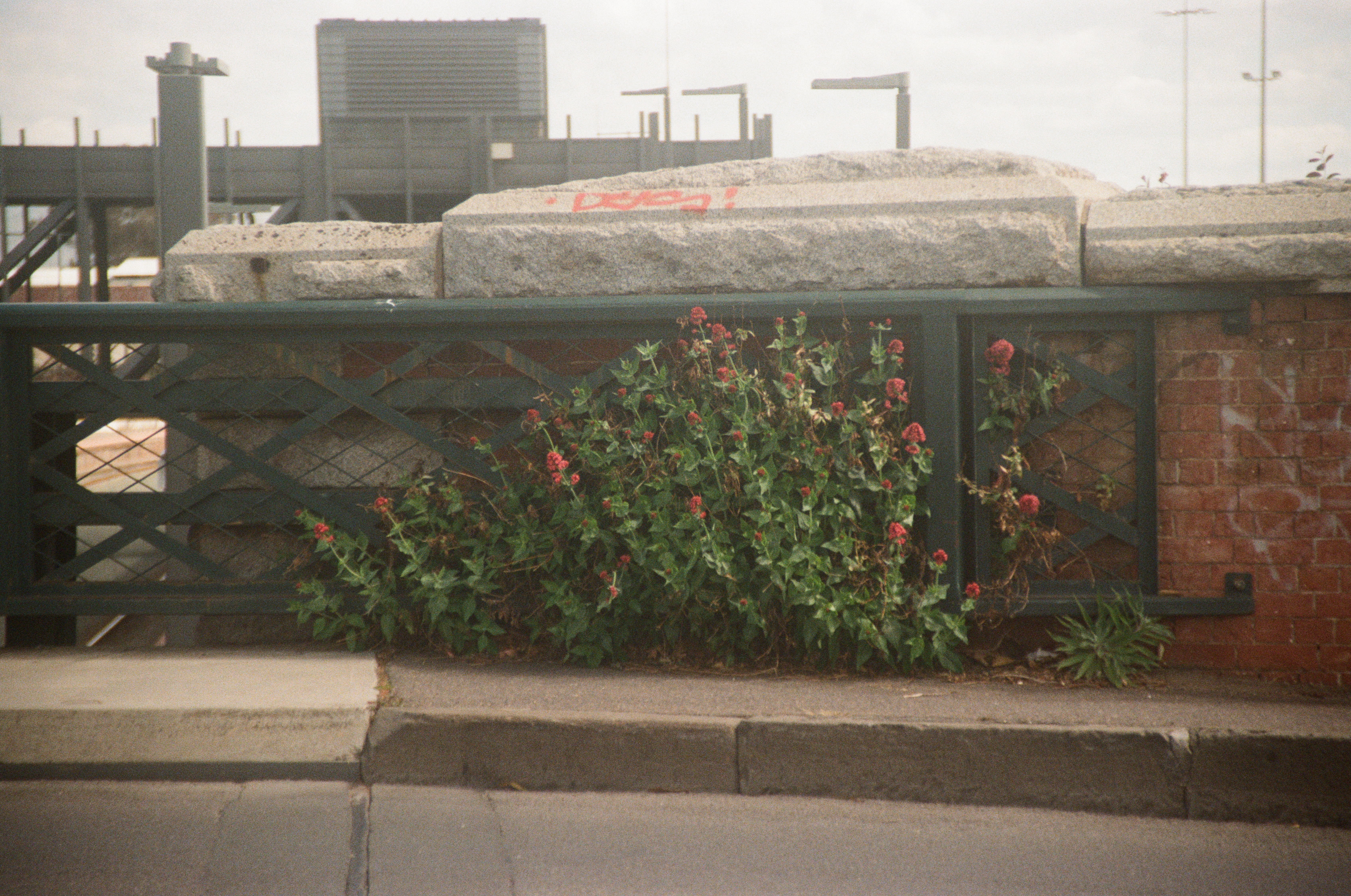 Overgrowth
