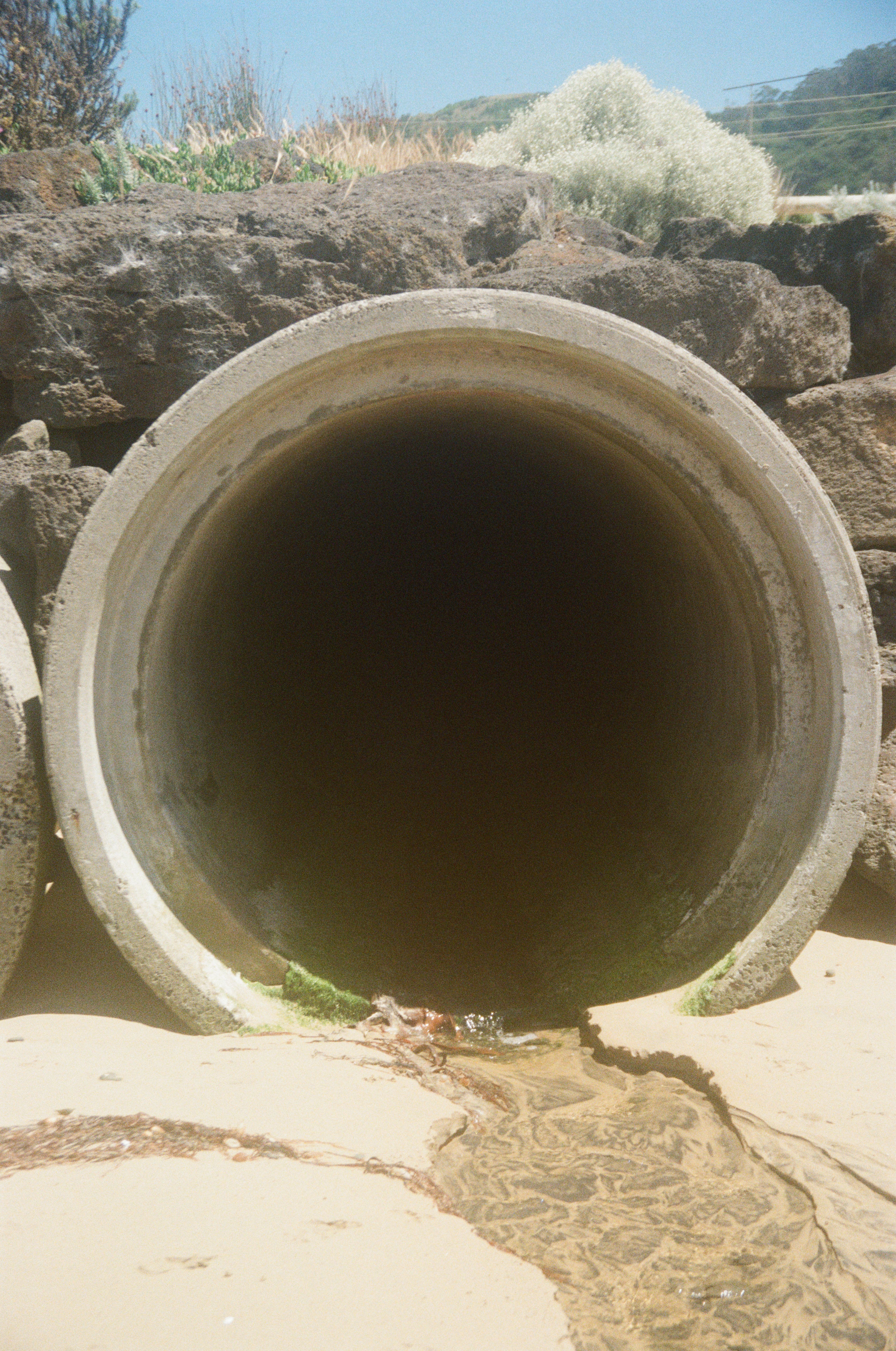 A Drain on Society